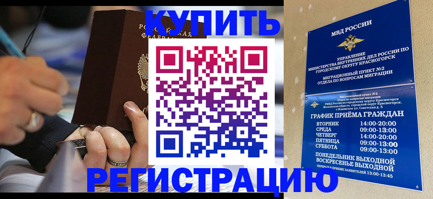 прописка поиск в Могочи
